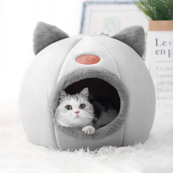 Deep Sleep Comfort