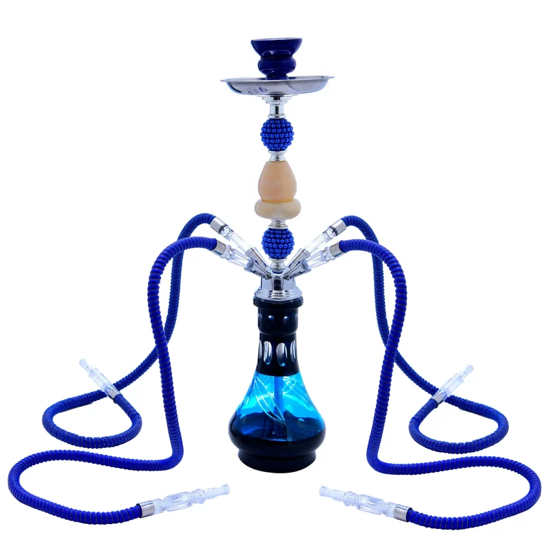 DEJAYA Shisha Pipe Set with 4