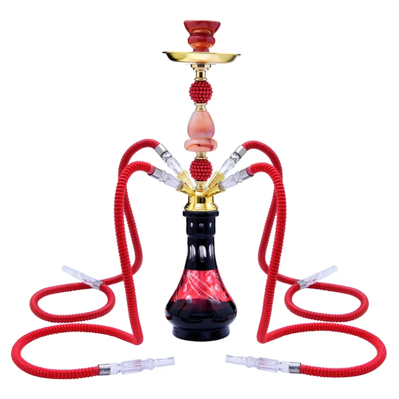 DEJAYA Shisha Pipe Set with 4 - Image 16